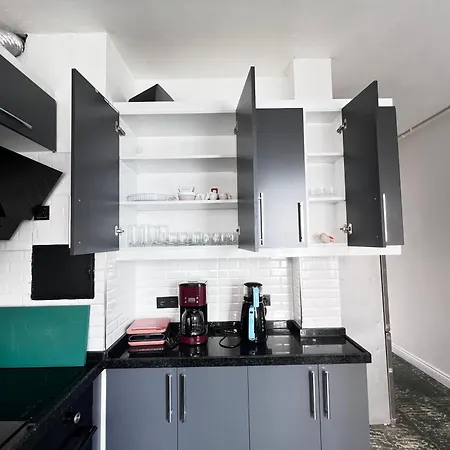 公寓 Renovated 5br With Sea View 伊斯坦布尔